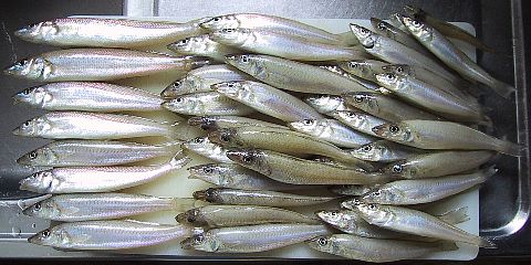 2001年5月28日