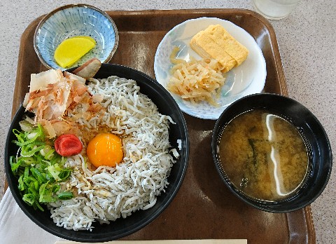 しらす丼+生玉子