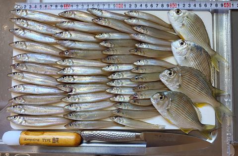 2025年12月7日の釣果